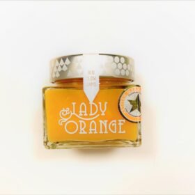 Lady Orange