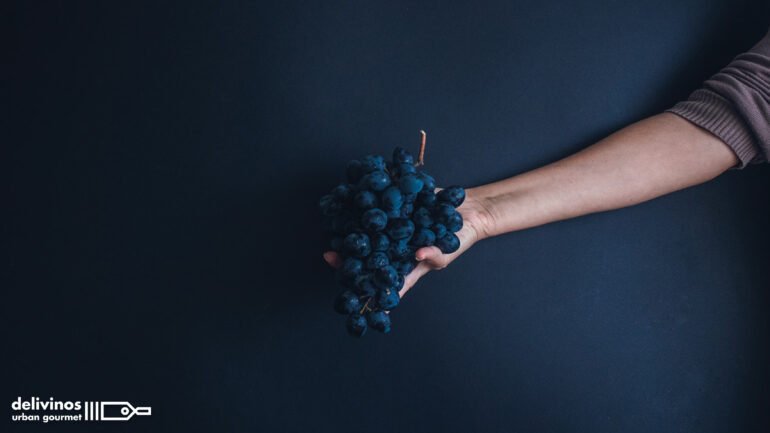 01_Conoce la uva tinta Mencía