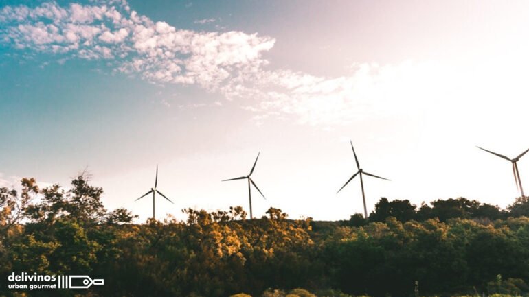 01-Cómo el cambio climático está afectando al vino